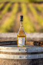 lesprit-blanc-2021-949813_900x.jpg.webp